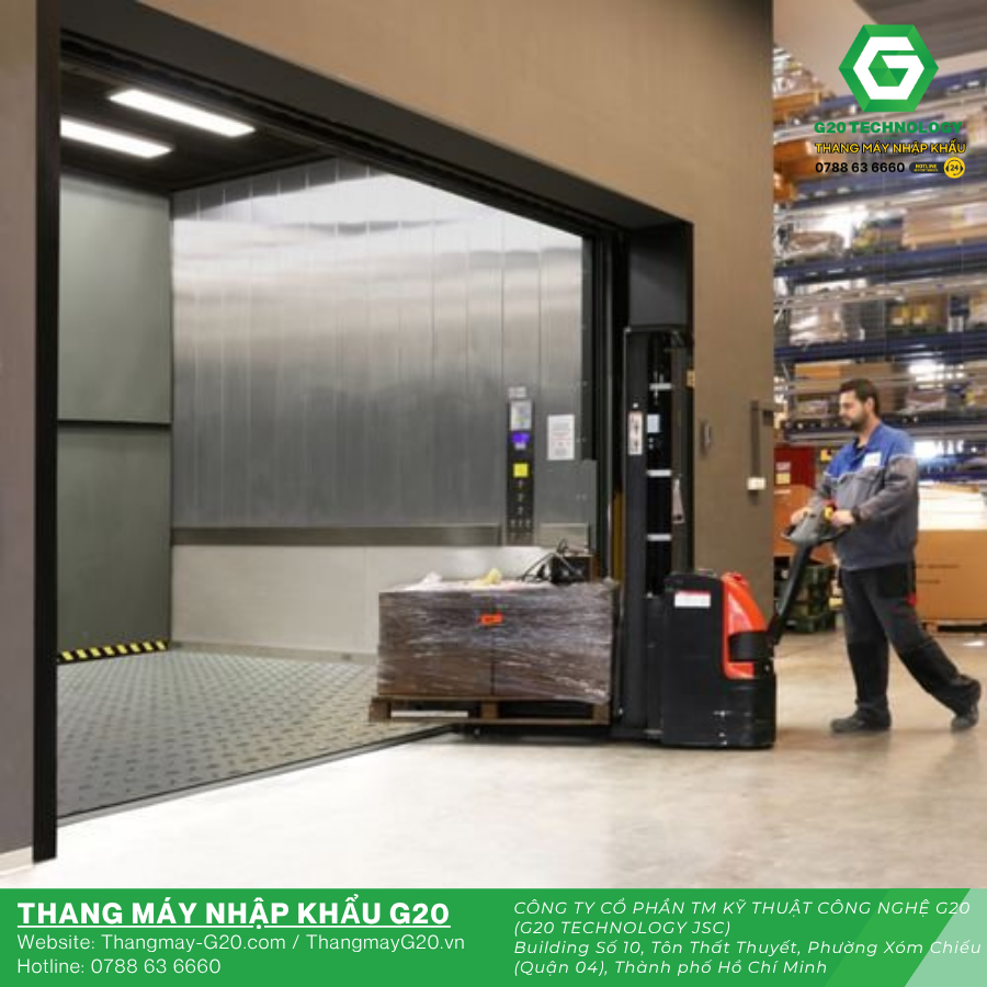 Hệ thống vận chuyển pallet trong kho logistics hiện đại